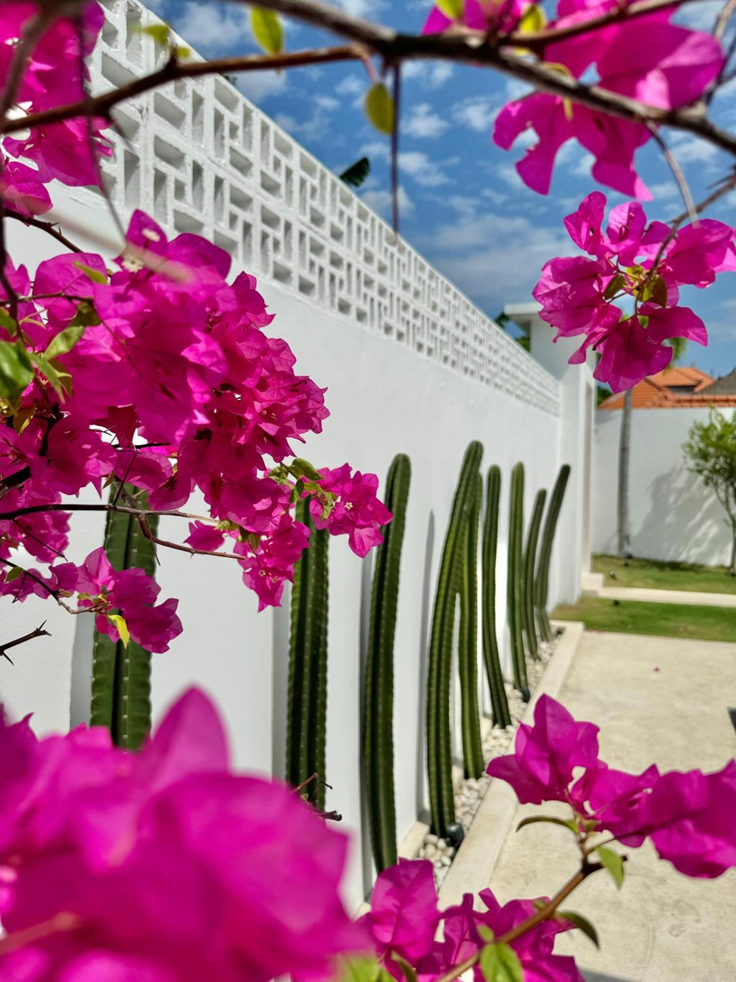 Balibiza 3 Villa *